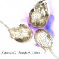 Buy Anthropods - Abundant Shores Mp3 Download