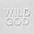 Buy Nick Cave & the Bad Seeds - Wild God (CDS) Mp3 Download