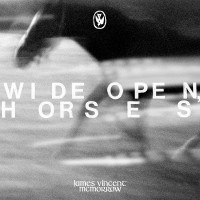 Purchase James Vincent McMorrow - Wide Open, Horses