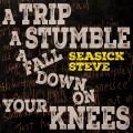 Buy Seasick Steve - A Trip A Stumble A Fall Down On Your Knees Mp3 Download