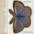 Buy Warpaint - Common Blue (CDS) Mp3 Download