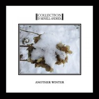 Purchase Collection D'arnell-andrea - Another Winter