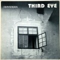 Buy Third Eye - Connexion (Vinyl) Mp3 Download