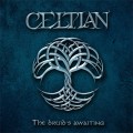 Buy Celtian - The Druid's Awaiting Mp3 Download