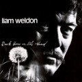 Buy Liam Weldon - Dark Horse On The Wind (Vinyl) Mp3 Download