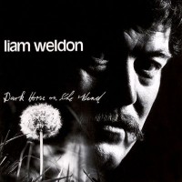 Purchase Liam Weldon - Dark Horse On The Wind (Vinyl)