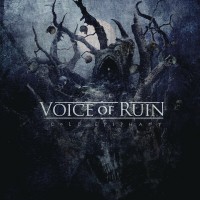 Purchase Voice Of Ruin - Cold Epiphany