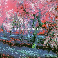 Purchase Percewood's Onagram - Tropical Brainforest (Reissued)