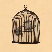 Purchase Fish In A Birdcage - Fish In A Birdcage (EP)