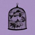 Buy Fish In A Birdcage - Waterfall Mp3 Download