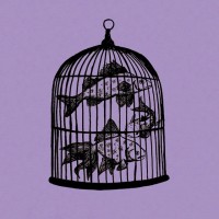 Purchase Fish In A Birdcage - Waterfall