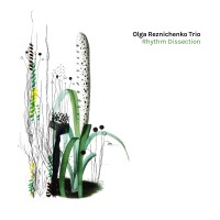 Purchase Olga Reznichenko Trio - Rhythm Dissection