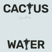 Purchase Channel Tres - Cactus Water (CDS)