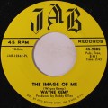 Buy Wayne Kemp - The Image Of Me / Babblin' Incoherenily (VLS) Mp3 Download