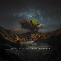 Purchase Nicholas Gunn - Sound Condition