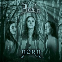 Purchase Phaedra - Norn