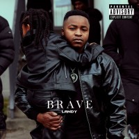 Purchase Landy - Brave