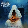 Buy Devenial Verdict - Blessing of Despair Mp3 Download