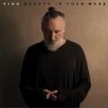 Buy Fink - Beauty In Your Wake Mp3 Download