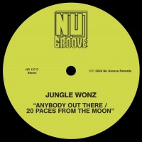 Purchase Jungle Wonz - Anybody Out There & 20 Paces From The Moon (EP)