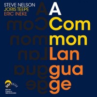 Purchase Steve Nelson - A Common Language (With Joris Teepe & Eric Ineke)