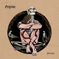 Purchase Orgone - Pleroma