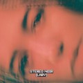 Buy Lary - Stereo Noir Mp3 Download