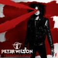 Buy Peter Wilson - Freedom's Door Mp3 Download