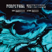 Purchase Antoine Fafard & Gavin Harrison - Perpetual Mutations