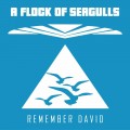 Buy A Flock Of Seagulls - Remember David (MCD) Mp3 Download