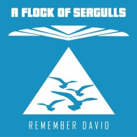 Purchase A Flock Of Seagulls - Remember David (MCD)