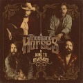 Buy A Thousand Horses - A Song To Remember (CDS) Mp3 Download