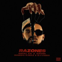 Purchase Ozuna, Anuel Aa & DJ Luian - Razones (Feat. Mambo Kingz) (CDS)