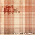 Buy Sad Day For Puppets - Shift Another Color Mp3 Download