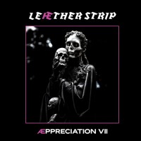 Purchase Leæther Strip - Æppreciation VII