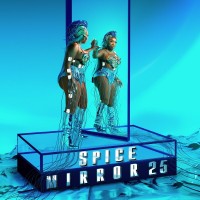 Purchase Spice - Mirror 25