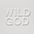 Buy Nick Cave & the Bad Seeds - Wild God Mp3 Download