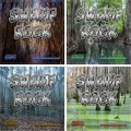 Buy VA - Swamp Rock (A Butterboy Compilation) CD1 Mp3 Download