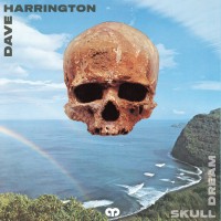 Purchase Dave Harrington - Skull Dream