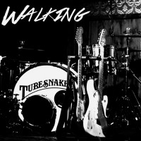 Purchase Tubesnakes - Walking