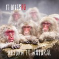 Buy It Bites Fd - Return To Natural Mp3 Download