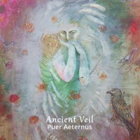 Purchase Ancient Veil - Puer Aeternus