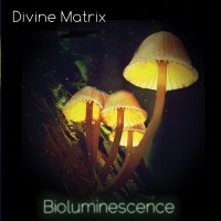 Purchase Divine Matrix - Bioluminescence (Soundscapes Vol. 4)