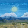 Buy Ordinary Elephant - Before I Go Mp3 Download