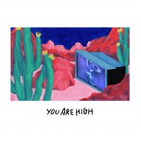 Purchase Agar Agar - You're High (CDS)