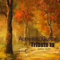 Buy Acoustic Guitar Tribute Players - Tribute To James Taylor Mp3 Download