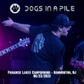 Buy Dogs In A Pile - Paradise Lakes Campground - Hammonton, Nj (06​.23​.​23) (Live) Mp3 Download