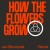 Buy Röyksopp - How The Flowers Grow (Feat. Pixx) (Jan Blomqvist Remix) (CDS) Mp3 Download