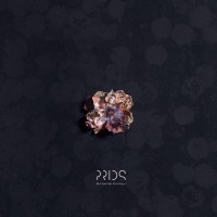Purchase The Prids - Do I Look Like I'm In Love?