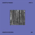 Buy VA - Sensitive Friends - Part A Mp3 Download